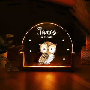 Custom Name Night Light with Animals, Personalised Baby Birth Gifts, Nursery Gift for Newborn, Christmas Gift, Baby Gifts, Light Gift