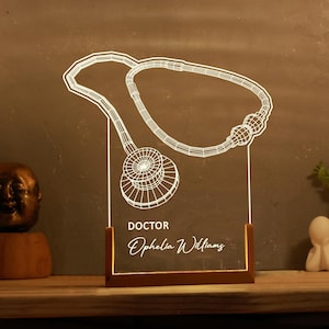 Lámpara LED con estetoscopio para doctor: regalo personalizado para médicos, estudiantes de medicina o enfermeras. Luz personalizada para oficina o graduación. Lámpara de doctor.