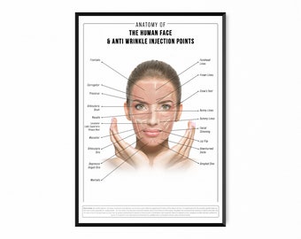 Face Cosmetic Detailed Ani Wrinkle Facial Structure Medical Science Educational Poster Print Aesthetician Office Wall Hanging