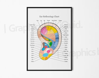 Ear Reflexology Map/Ear Chart Print Labelled Medial Lateral Foot Chart Holistic Poster Wall-art, Therapy Room Poster, Informative/Detailed