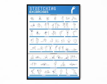 May include: A black and white illustrated poster with blue accents showing stretching exercises for the upper and lower body. The poster has the title "Stretching Exercises" and is divided into two sections: "Upper Body" and "Lower Body".
