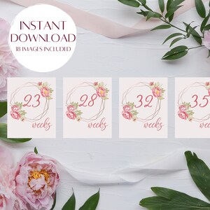 Cartes florales d'étape de gestation de NICU | Téléchargement instantané Art imprimable pour les Premies
