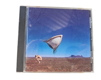 CD The Cranberries, Enterre la hache de guerre 1999