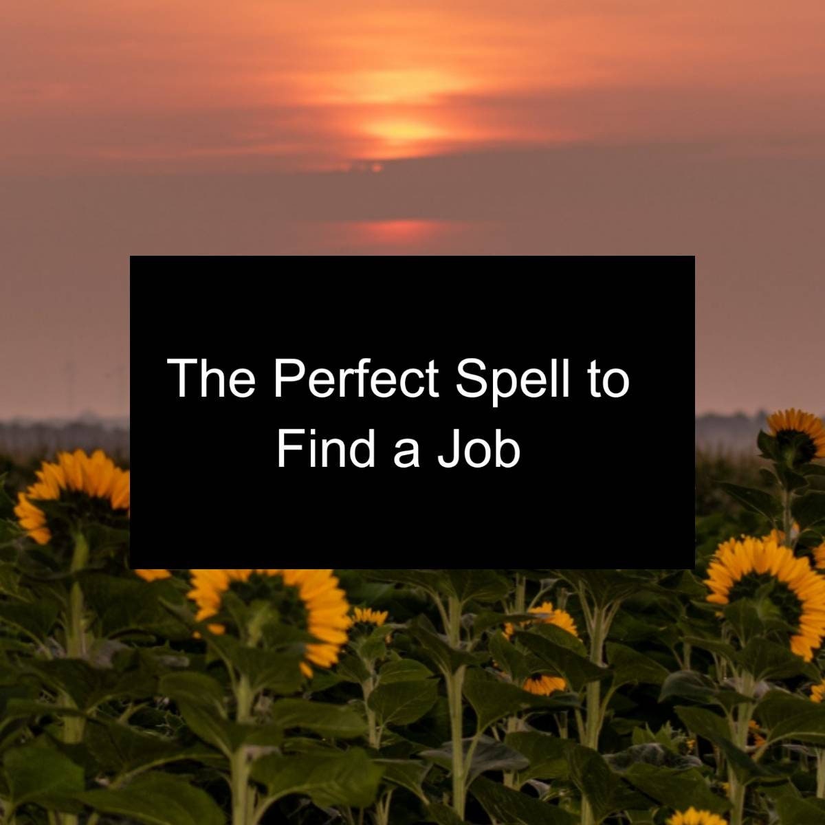 The Perfect Spell To Find A Job