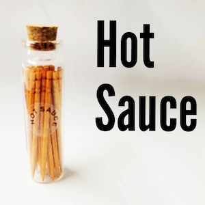 Hot Sauce Flavored Toothpicks | Mens Gift | 50 Count Glass Pocket Bottle