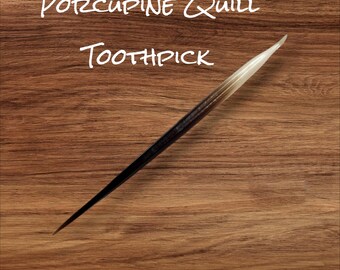 Genuine Porcupine Quill Cowboy Toothpick small 2 inch