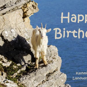 Tarjeta de felicitación para amantes de las cabras de Llandudno / Tarjeta de cumpleaños / Cabra galesa / Ojalá estuvieras aquí / Cabra en las rocas / Gracias / Gran Orme / Costero