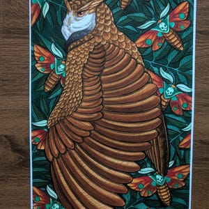 Owl Art Print