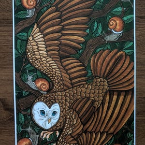 Owl Art Print