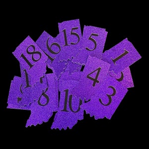 Custom Pageant Contestant Numbers: Two-Tone Magnetic Numbers