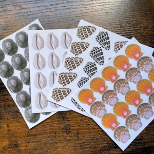 May include: Sheets of seashell stickers in various designs and colors. The stickers feature detailed illustrations of different types of seashells, including scallop shells, cowrie shells, and other sea creatures. The stickers are in shades of brown, orange, and green.