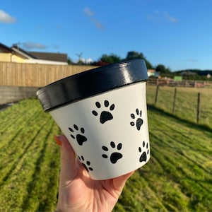 May include: White ceramic planter with a black rim and black paw print designs.