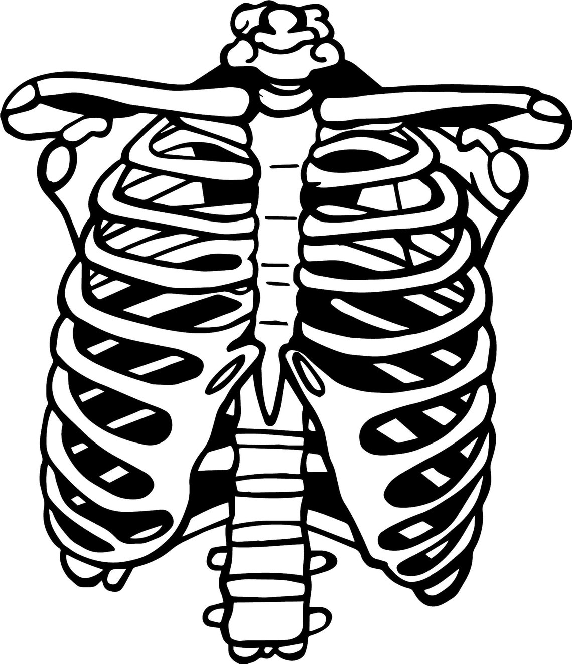 Skeleton Rib Cage SVG Clipart png/svg/dxf/eps Etsy