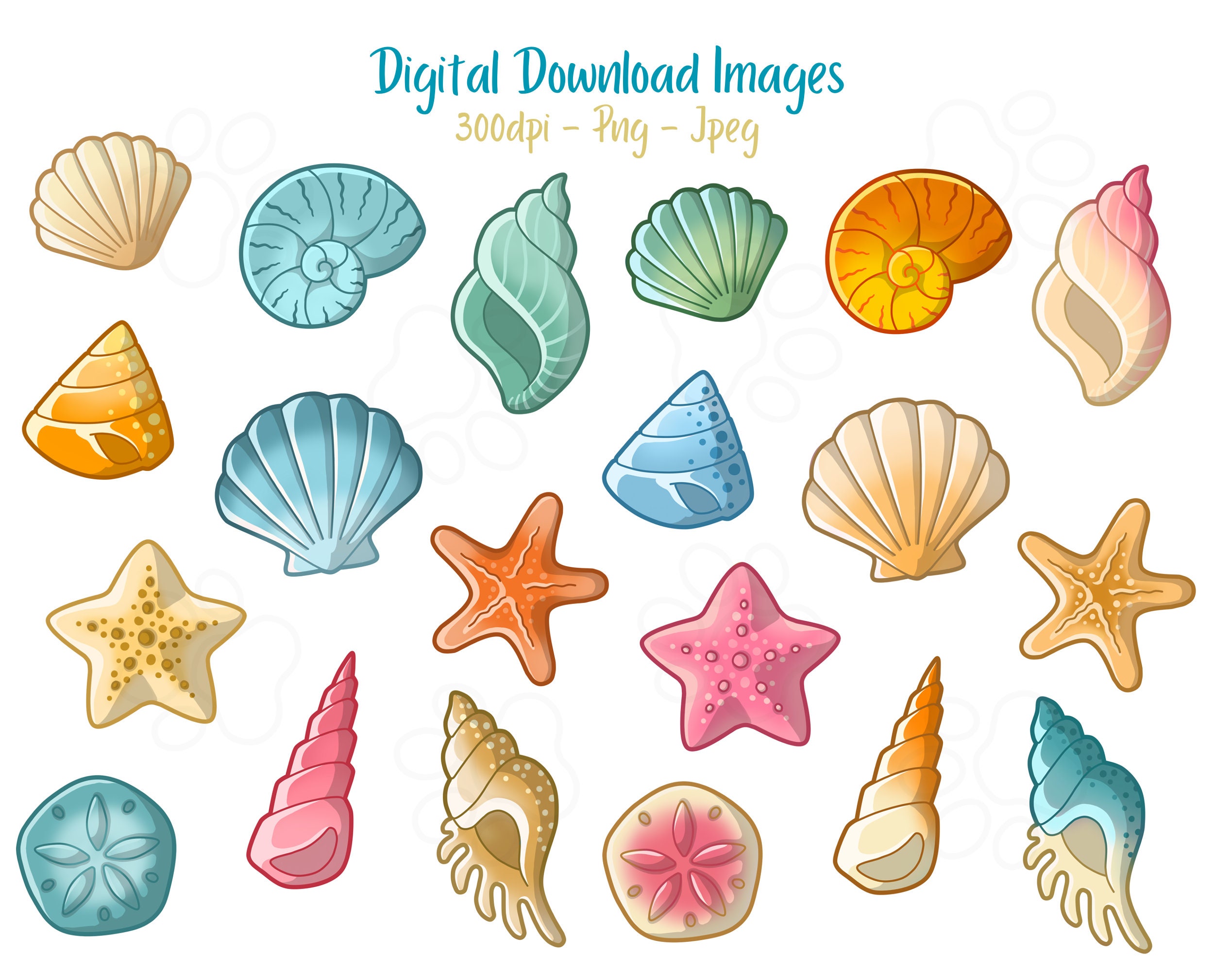Seashells Clipart Images Digital Download Etsy