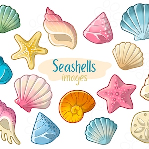 Conchas Marinas - Imágenes Prediseñadas - Descarga Digital