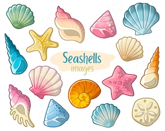 Seashells - Clipart Images - Digital Download