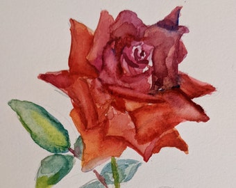 Watercolor Art, Rose Study - Gini's Garden Series: original watercolor painting