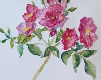 Watercolor Art, Gini's Garden Series: Roses, original watercolor painting
