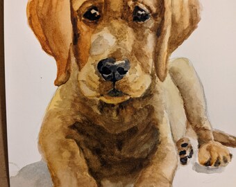 Watercolor art Dog Portrait in Watercolor: Tubby
