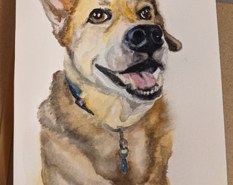 Custom pet portrait in watercolor