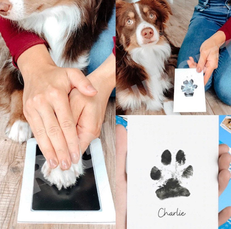 Are Ink Pads Safe For Dogs