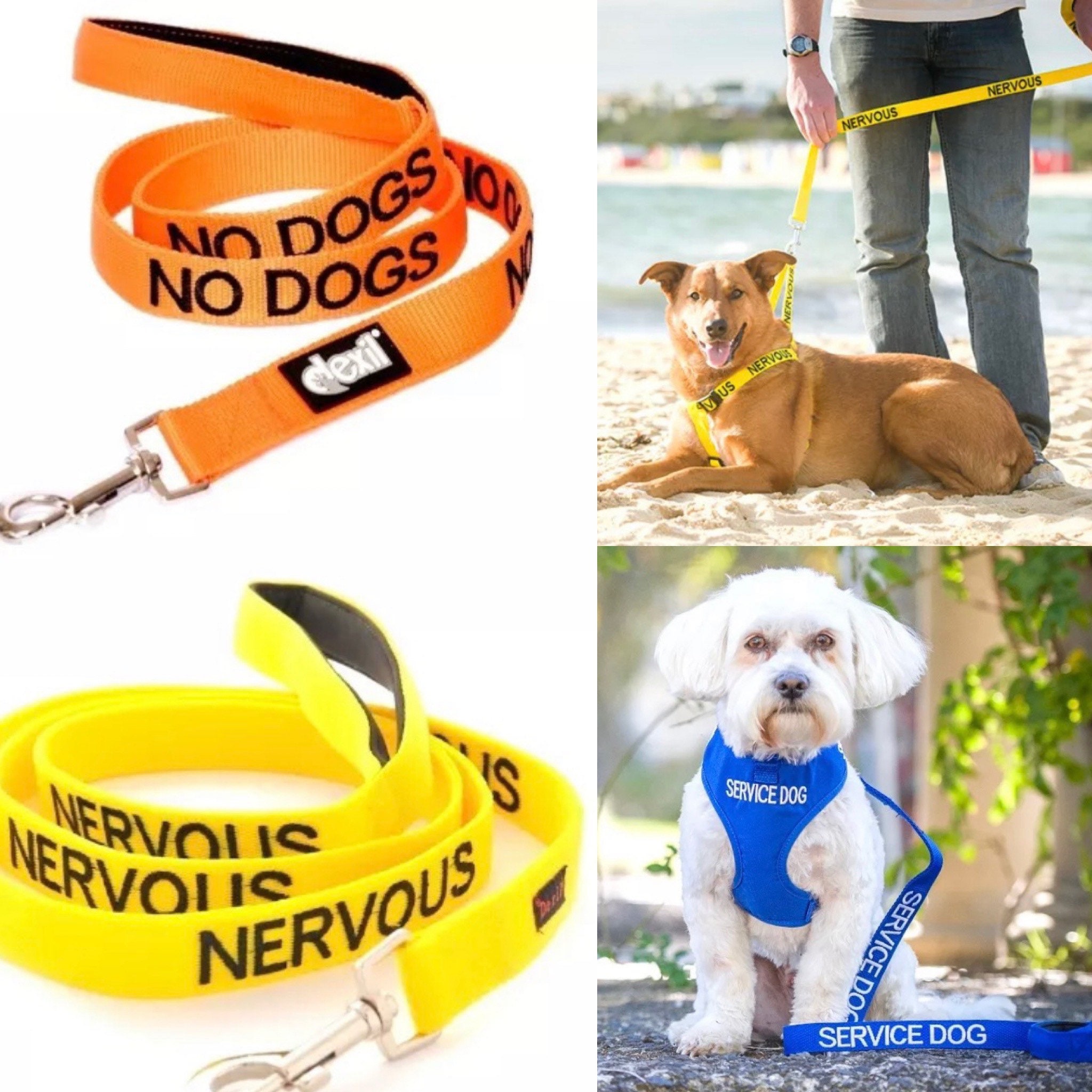 dog warning leads