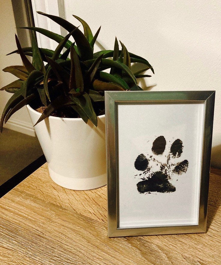 Pet Paw Print Inkless Ink Pad Ink Pad Kit Ink Kit Paw Etsy