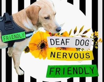 DOG WARNING | Nervous Dog Patch | Velcro Dog Label | Blind Dog Patch | Harness Warning Patch Dog Training | Dog Velcro Warning Patch | Dog