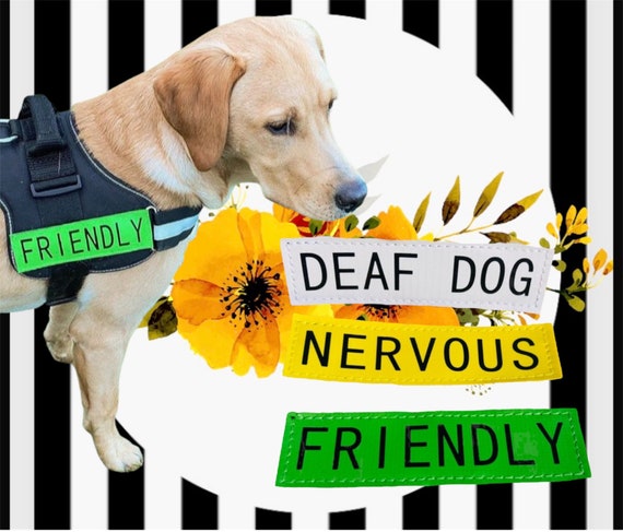 DOG WARNING Nervous Dog Patch Velcro Dog Label Blind Dog Patch Harness  Warning Patch Dog Training Dog Velcro Warning Patch Dog 