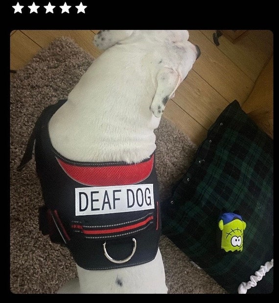 Nervous dog velcro patch cheap