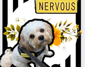 NERVOUS DOG | Warning Dog Patch | Dog Velcro Warning Label | Nervous Dog Patch | Dog Warning Label | Nervous Patch |Harness Patch | Training
