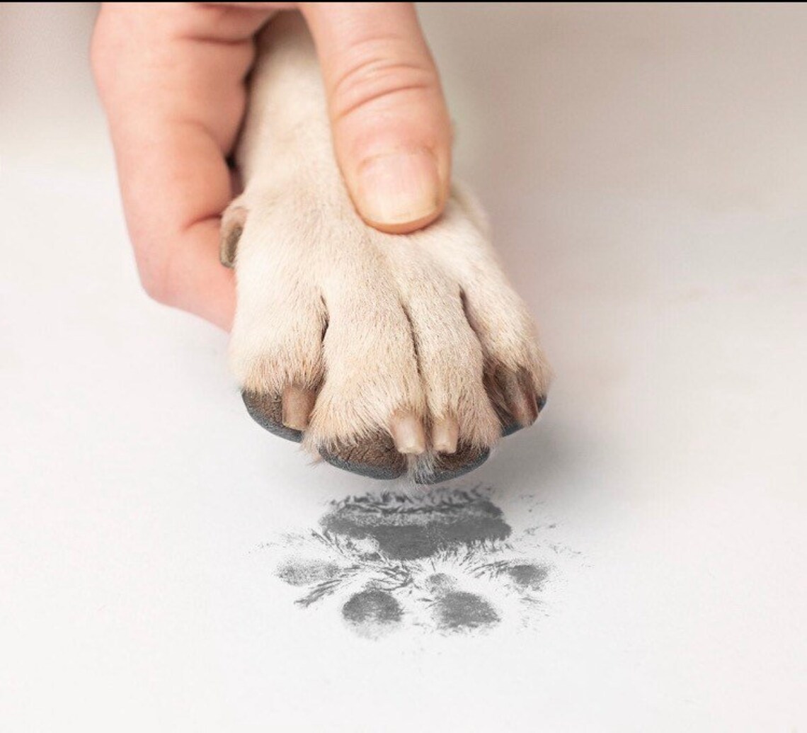Pet Paw Print Inkless Ink Pad Ink Pad Kit Ink Kit Paw Etsy
