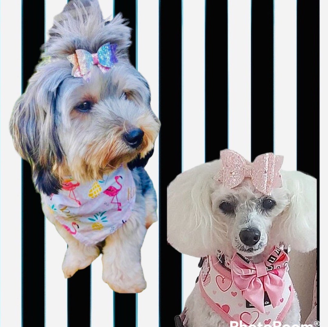 Dog Bow Hair Clip Glitter Clip Pet Bow Clip Rainbow Bow Etsy UK