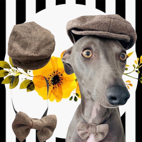 dog tweed hat
