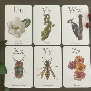 Printable Alphabet Flashcards/nature Flashcards/forest Theme/forest ...