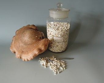 Birkenporling 100 g Tee Fomitopsis Betulina Wildsammlung Naturprodukt Bio Baumpilz ohne Zusatzstoffe Magentee Verdauungstee