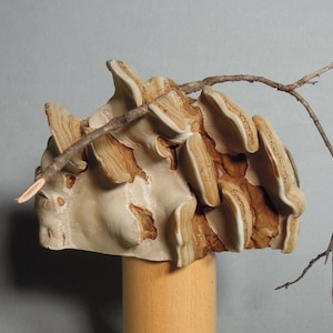 Può includere: Una scultura artigianale unica, caratterizzata da una forma strutturata beige chiaro con accenti marroni, che ricorda la crescita naturale. Un piccolo ramo secco si estende sulla parte superiore. La scultura è montata su una base cilindrica in legno.