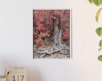 Póster de raíces de árboles otoñales con marco de madera / Decoración de pared de bosque otoñal