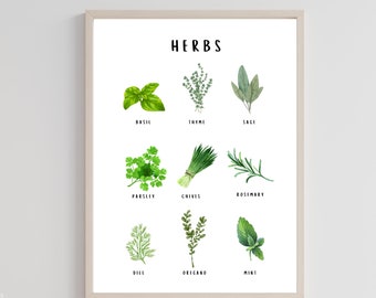 Küchenkräuter Botanischer Kunstdruck, Küchenkräuter Ratgeber (Digitaler Download)