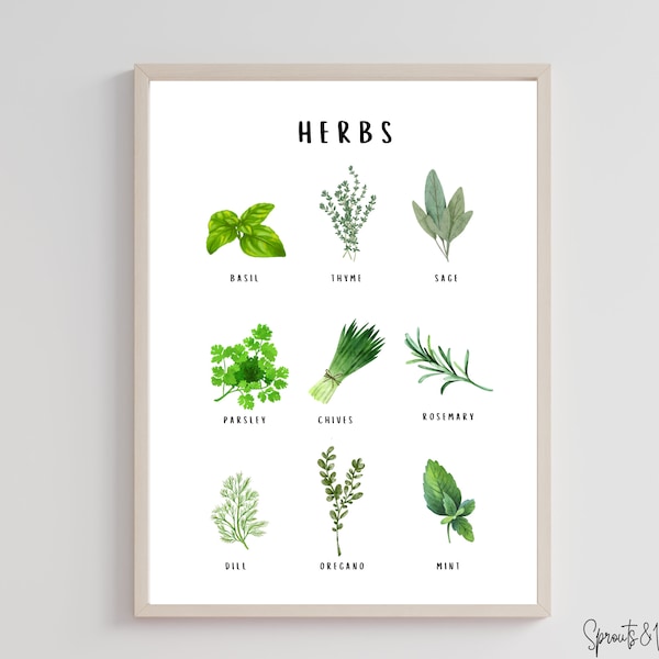 Garden Herb Print, Kitchen Herbs Guide, Cooking Herbs Poster, Botanical Herbs Print, Kitchen & Dining Wall Art, Kitchen Wall Art