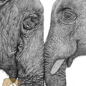 Elephants - A4 Drawing Print