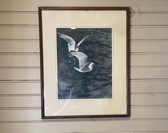 W.R. MacAskill signed Photograph // Sea Gulls // 16.75” x 20.75”