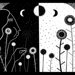 Night Gardener’s Wish - Art Print
