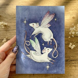 May include: A whimsical illustration of two white mice with fairy wings, set against a deep blue background with sparkling stars. The mice are depicted in mid-flight, with delicate wings in shades of pink and green. The artwork has a dreamy, fairytale aesthetic.