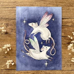 May include: A watercolour illustration featuring two white mice with fairy wings, set against a dark blue backdrop. The mice have long tails and are surrounded by stars. The wings are a mix of pink and green.