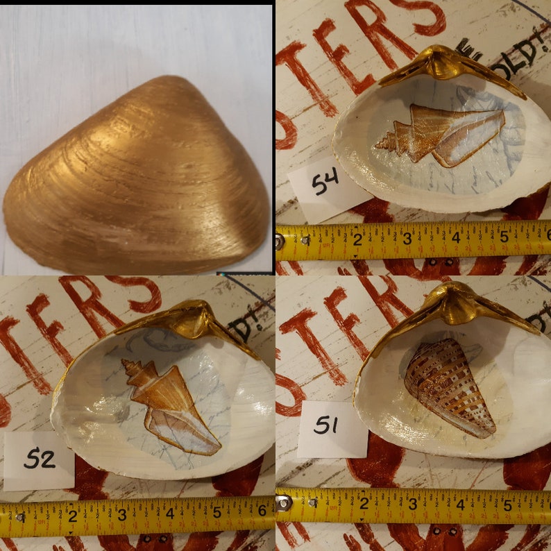 Large Decoupage Clam Shell Gold Backed JewelrySoap dish Assorted Shell
