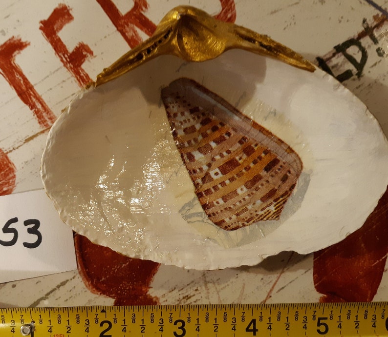 Large Decoupage Clam Shell Gold Backed JewelrySoap dish Assorted Shell