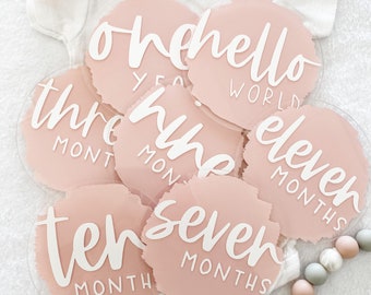 Acrylic Baby Monthly Milestone Markers / Monthly Photo Props / 12 Month Set / Birth Announcements / Painted Acrylic Disc / Newborn Photos