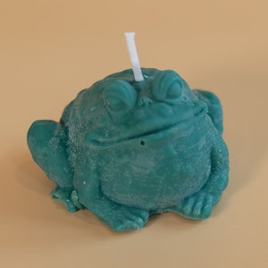 Good Luck Toad Candle / Good Luck Candle / Toad Candle / Cute Candle / Adorable Candle