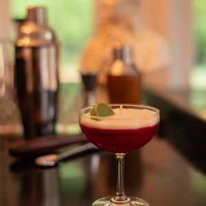 May include: A cocktail in a stemmed glass with a clear base, a deep red layer, and a white foamy top, garnished with a green slice. A stainless steel cocktail shaker and other bar tools are in the background.
